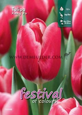 Binbox Tulips Kung Fu 12/+ (x100)