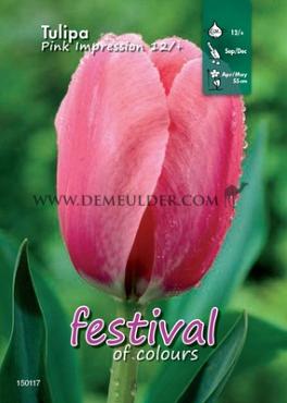 Binbox Tulips Pink Impression 12/+ (x100)