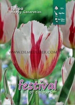 Binbox Tulips Happy Generation 12/+ (x100)