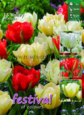 Festival Autumn Big packs mixes Valley Mixed I (x12x15)