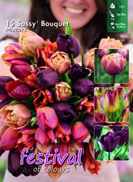 Festival Autumn Big packs mixes Sassy Bouquet Mix I (x12x15)