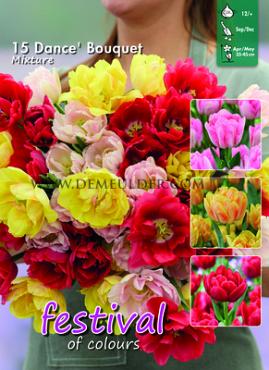 Festival Autumn Big packs mixes Dance Bouquet Mix I (x12x15)