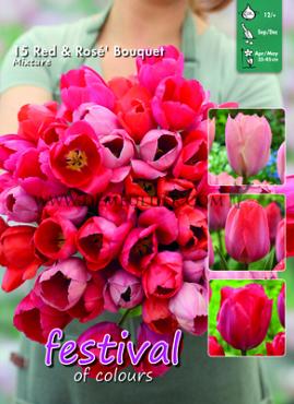 Festival Autumn Big packs mixes Red & Rosé Bouquet Mix I (x12x15)