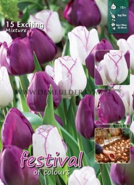 Mix Exciting 12/+ (x12x15)