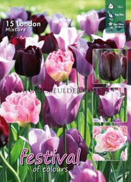 Mix London 12/+ (x12x15)