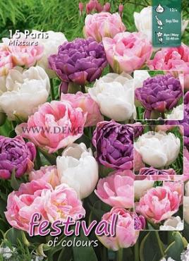 Mix Paris 12/+ (x12x15)