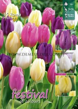 Mix Roma 12/+ (x12x15)