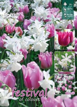 Mix Wien 12/+ (x12x15)