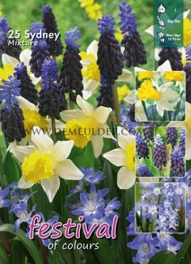 Mix Sydney I (x12x25)