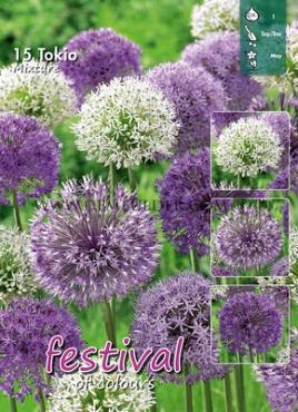 Mix Tokio I (x12x20)