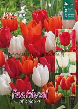 Mix Glasgow 12/+ (x12x15)