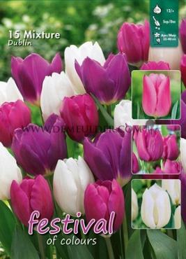 Mix Dublin 12/+ (x12x15)