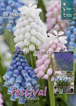 Mix Palermo I (x12x25)