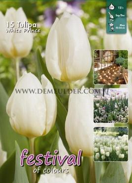 Tulips White Prince 12/+ (x20x15)