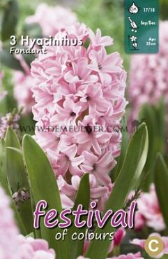 Hyacinths Fondant 17/18 (x10x3)