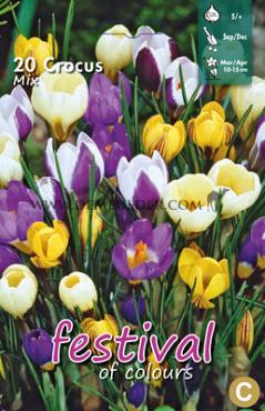 Crocus Botanisch Gemengd, 5/+ (x12x15)