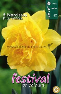 Narcissus Dick Wilden 14/16 (x8x5)
