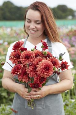 Dahlia Missis Miley (x 35)