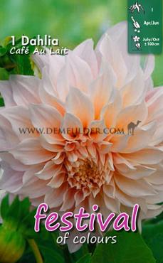 Decorative Dinnerplate Cafe Au Lait Dahlia Café Au Lait Decorative (x14x1)