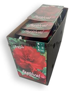 Pre-packed Begonia Double Red 6/7 (x14x3)