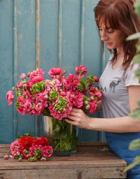 Ranunculus Reinette Rose 3/5 (x250)
