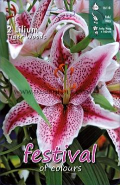 Or Tigerwoods Festival Winter Lilium Lilium Tigerwoods 16/18 (x14x2)