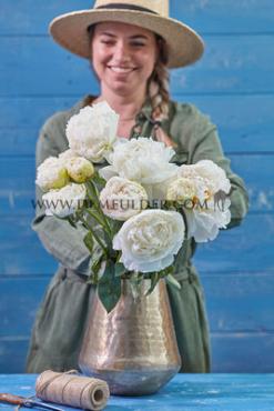 Paeonia Bowl Of Cream 3/5 (x10)