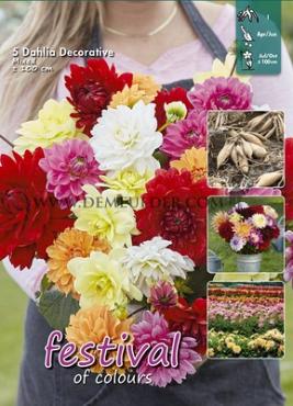 Decorative Medium Flowered Gemengd Festival Spring Big packs mixes Dahlia Mixed 100cm Decorative  I (x16x5)
