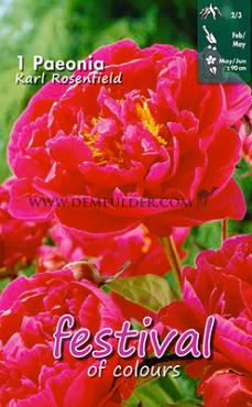 Pre-packed Paeonia Karl Rosenfield 2/3 (x14x1)