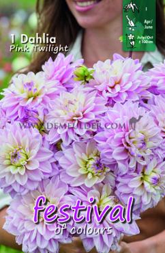 Festival Spring Decorative Large Flowered Dahlia Pink Twilight I (x14x1)