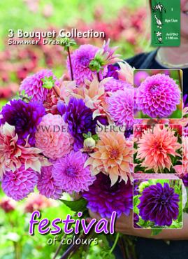 Festival Spring Big packs mixes Dahlia Summer Dream Mix I (x16x3)