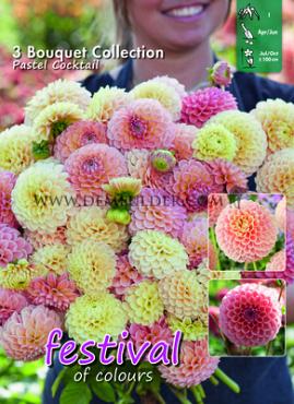 Festival Spring Big packs mixes Dahlia Pastel Cocktail Mix I (x16x3)