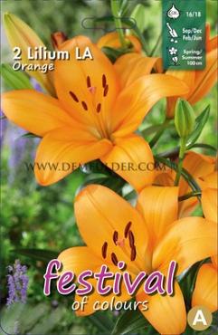Pre-packed Lilium La Orange 16/18 (x14x2)