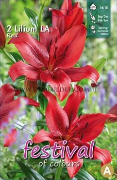 Pre-packed Lilium La Red 16/18 (x14x2)