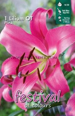 Pre-packed Lilium Pink 16/18 (x14x1)