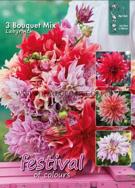 Pre-packed Dahlia Labyrinth Bouquet Collection 100cm  I (x10x3)