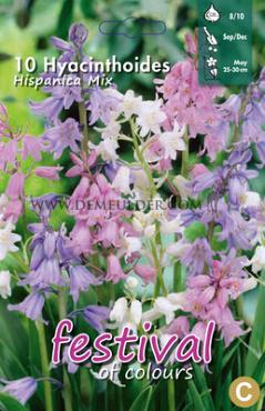 Hyac. Hispanica Mixed 8/10 (x12x10)