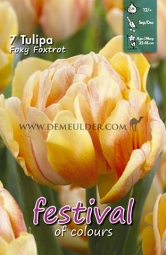 Tulips Foxy Foxtrot 12/+ (x12x7)