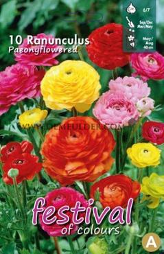 Pre-packed Ranunculus Pioenbloemig Mixed 6/7 (x14x10)