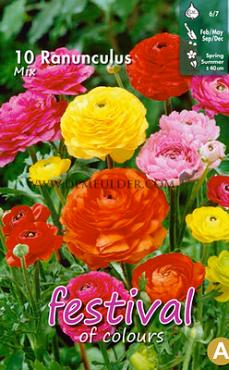Pre-packed Ranunculus Pioenbloemig Mixed 6/7 (x14x10)