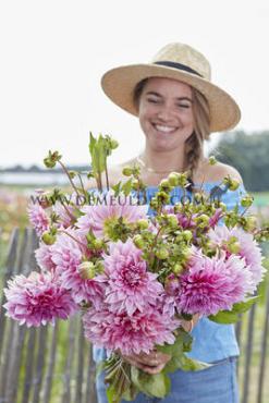 Decorative Dinnerplate Cafe Au Lait Rosé Festival Winter Dahlia Dinnerplate Dahlia Cafe Au Lait Rosé I (x14x1)