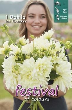 Decorative Dinnerplate Ice Breaker Festival Spring Dahlia Dinnerplate Dahlia Ice Breaker I (x14x1)