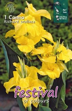 Green Leaves Richard Wallace Festival Spring Canna Canna Richard Wallace I (x14x1)