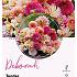 Dahlia mixed Dahlia Collecties Exclusive Collection Exclusive Collection Dahlia's Deborah