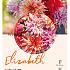 Dahlia mixed Dahlia Collecties Exclusive Collection Exclusive Collection Dahlia's Elizabeth