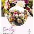 Dahlia mixed Dahlia Collecties Exclusive Collection Exclusive Collection Dahlia's Emily