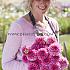 Ball Pink Sylvia (Sandra) Dahlia Pink Sylvia (Sandra) (x 35)