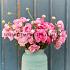 Amandine Rose Ranunculus Amandine Rose 3/5 (250)