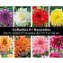 Coll. 03 Dahlia Decorative 100 cm 56 packages