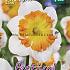 Narcissus Zinzi Butterfly 14/16 (x8x3)